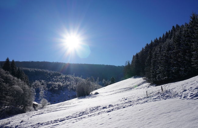 Exclusive Group House in Winterberg in the Forest - Foto 77