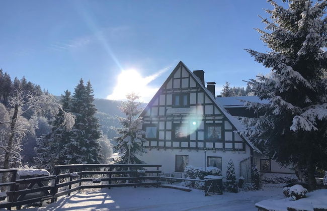 Exclusive Group House in Winterberg in the Forest - Foto 57