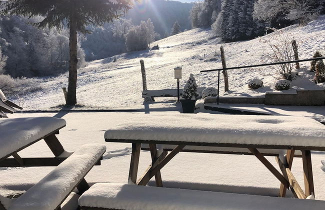 Exclusive Group House in Winterberg in the Forest - Foto 80