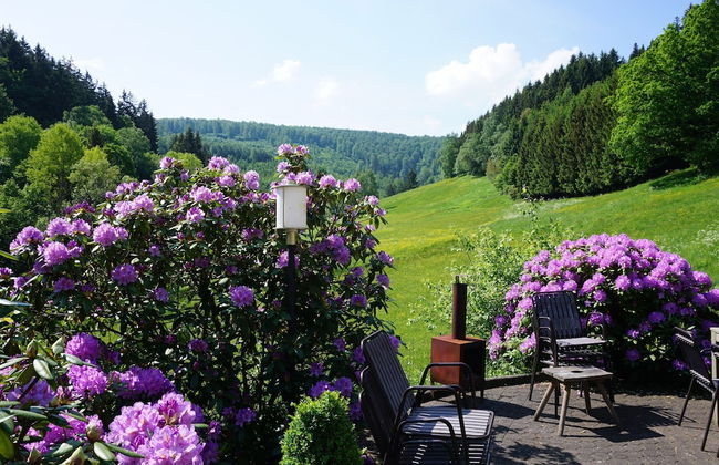 Large House in Winterberg in the Sauerland Region - Photo 73