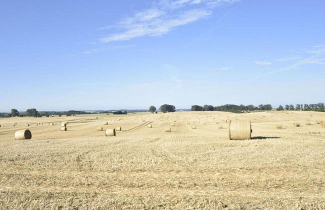 Historic Apartment in Gerdshagen With Garden - Foto 78
