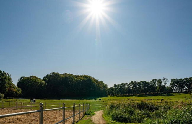 Historic Apartment in Gerdshagen With Garden - Foto 77