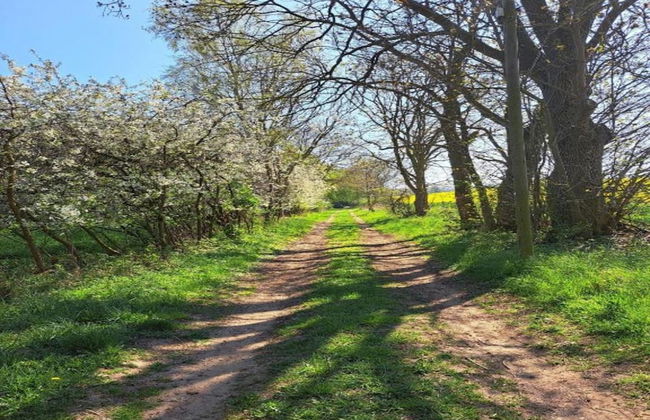 Historic Apartment in Gerdshagen With Garden - Foto 76
