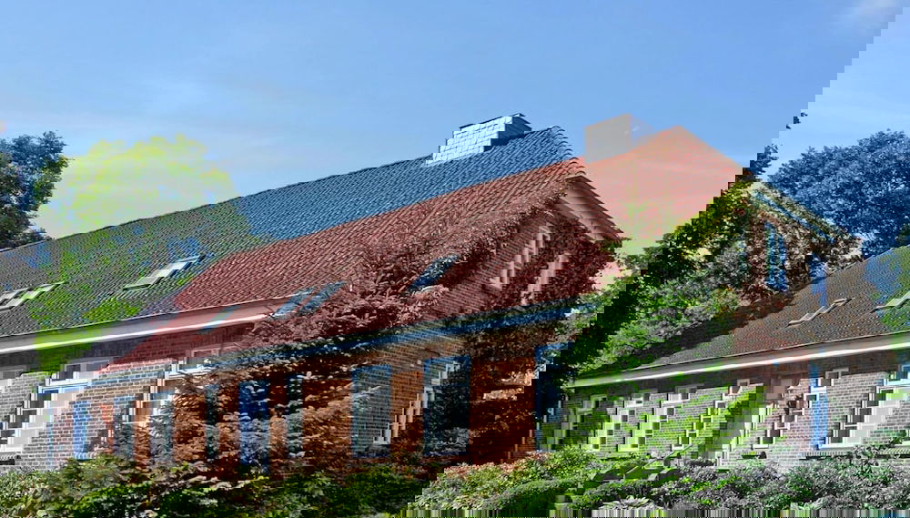 Primary image
