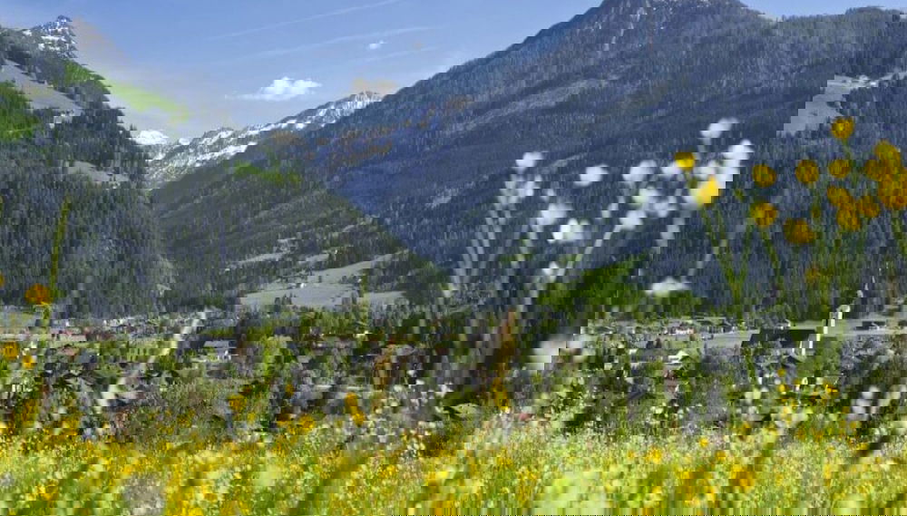 Blick von der Unterkunft