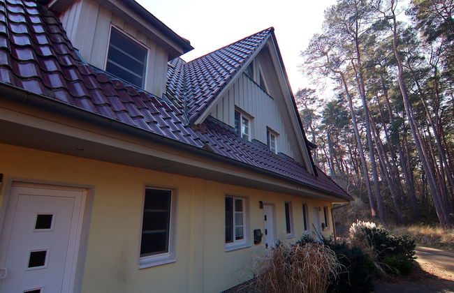 Reihenhaus Dunenwaldhaus in Trassenheide - Foto 43