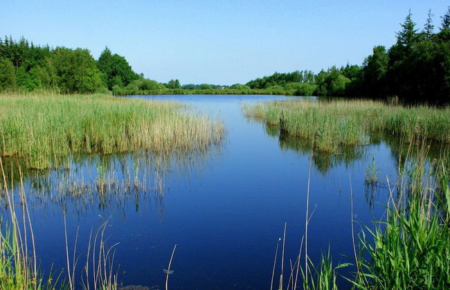 Holiday Home in Langenhorn Near North Sea - Foto 20