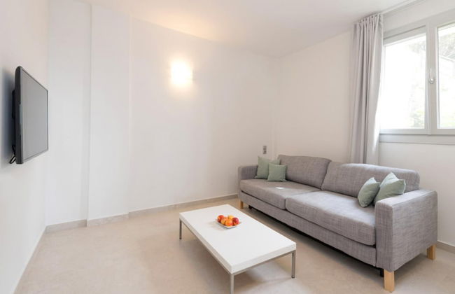 White Orchid Brassia - Foto 13