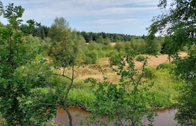 4 Star Holiday Home in Brande - Foto 51