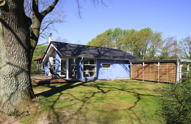 Ferienhaus Seeadler mit Sauna am Dummer See - Foto 18