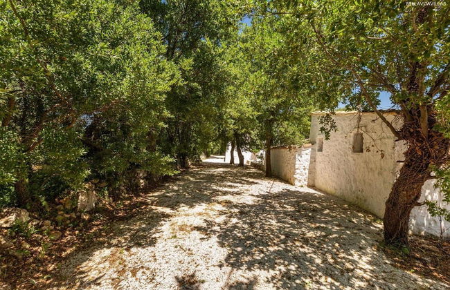 2410 Tenuta dei Fragni by Perle di Puglia - Foto 49