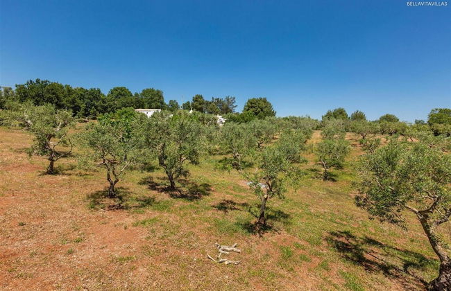 2410 Tenuta dei Fragni by Perle di Puglia - Foto 50