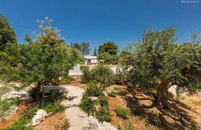 2410 Tenuta dei Fragni by Perle di Puglia - Foto 51