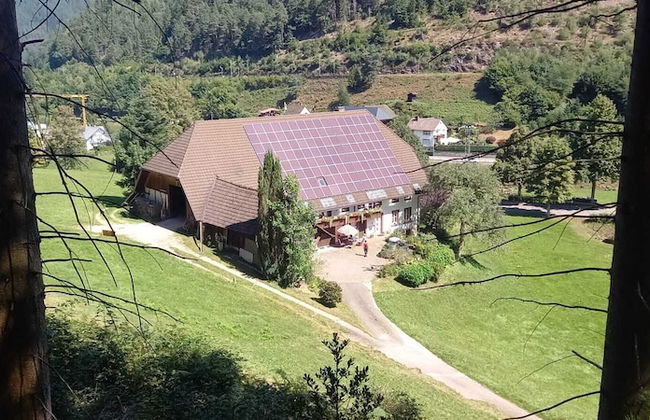 Holiday Home in Hornberg Near Triberg Falls - Foto 20