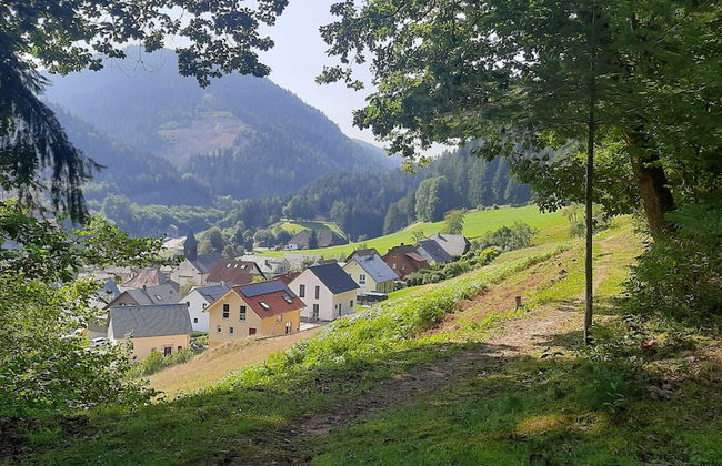 Holiday Home in Hornberg Near Triberg Falls - Foto 17