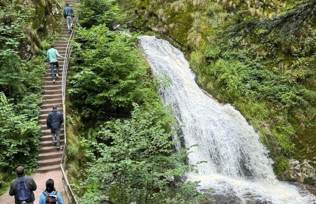 Holiday Home in Hornberg Near Triberg Falls - Foto 16