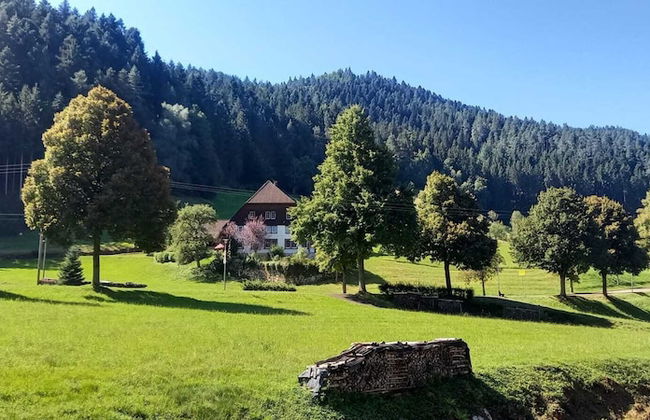Holiday Home in Hornberg Near Triberg Falls - Foto 19