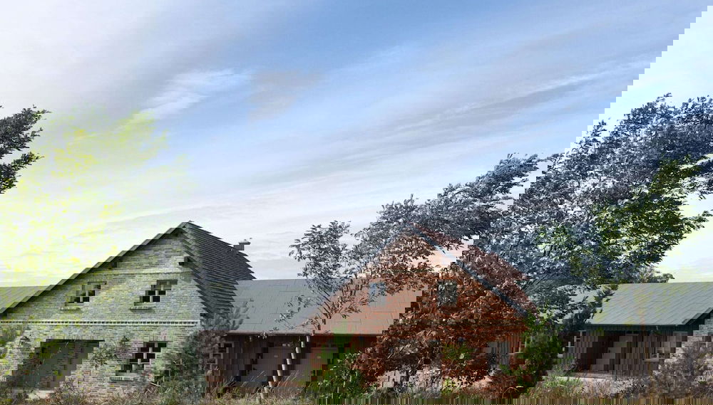 Primary image