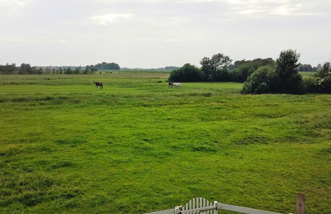 Ferienwohnungen, Tonning - Photo 17
