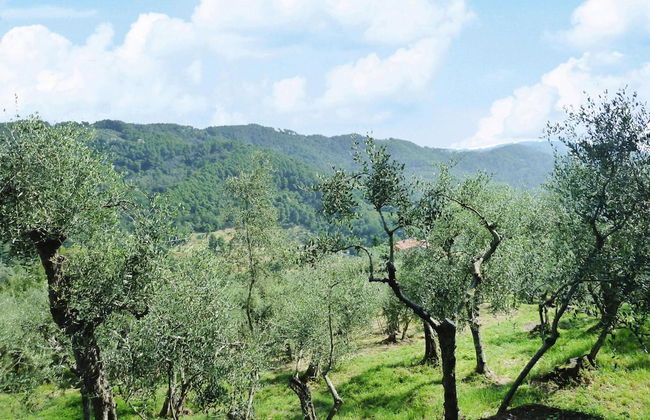 Holiday Home Villa del Pino, Massarosa - Foto 27