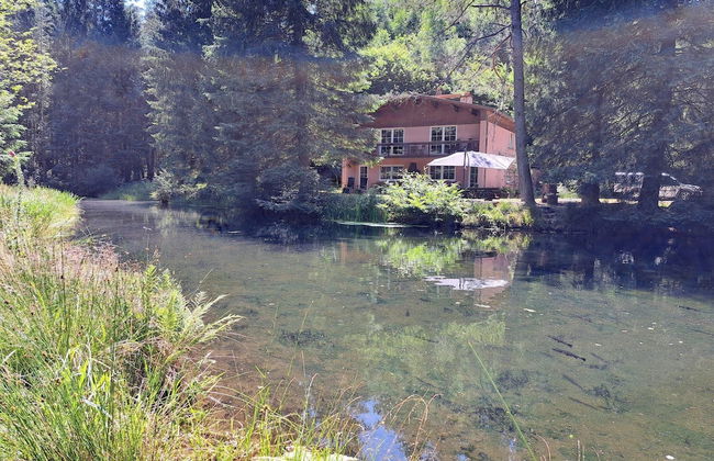 Apartment in Alsace With Private Terrace - Photo 18