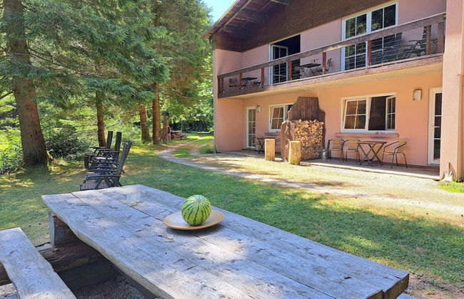 Apartment in Alsace With Private Terrace - Photo 19