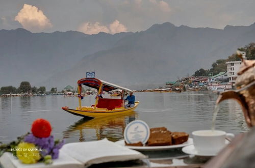 Photo 19 - Prince of Kashmir Luxury Houseboat