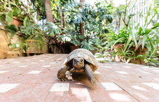 Foto 3 - Casa Sole Luna con Giardino by Wonderful Italy