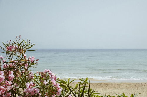 Foto 20 - Seafront Terrace in Donnalucata by Wonderful Italy