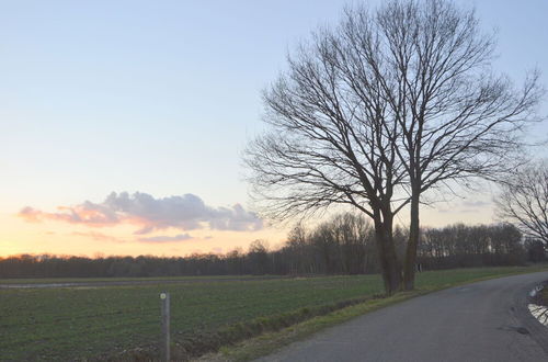 Photo 34 - Alluring Holiday Home in Limburg near Forest