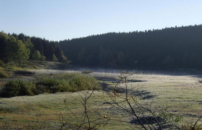 Flucht ins Herz von Elend - Foto 25