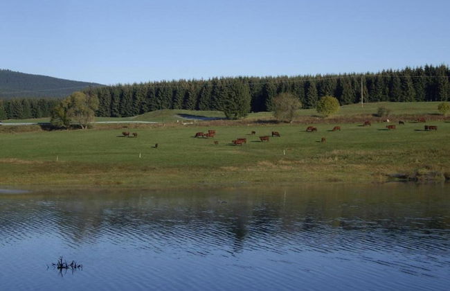 Flucht ins Herz von Elend - Foto 27