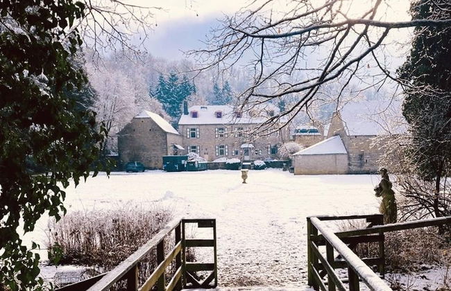 Castle in Ferrieres With Pond Garden - Foto 30