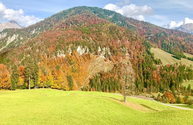Farmhouse in Hochfilzen With Mountain View - Foto 33