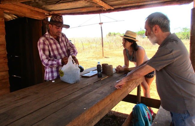 Villa Mario y Ada En Viñales - Foto 14