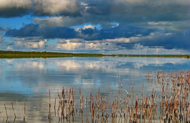 Harbour Club Villas & Marina - Photo 62