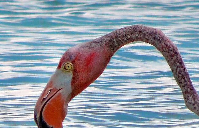 Harbour Club Villas & Marina - Photo 53