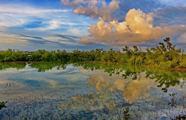 Harbour Club Villas & Marina - Photo 63