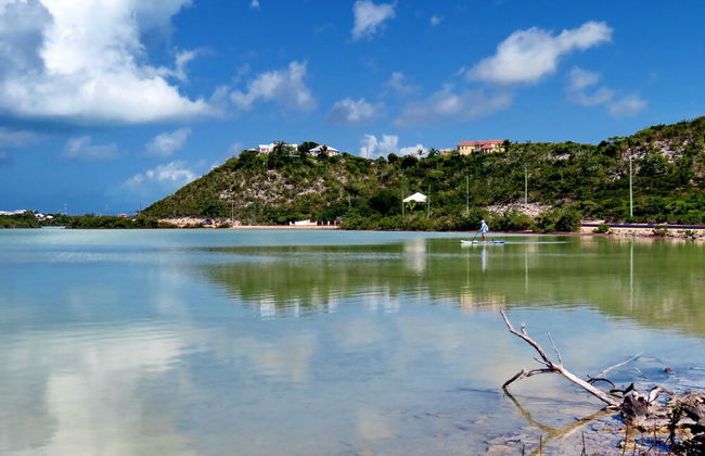 Harbour Club Villas & Marina - Photo 48