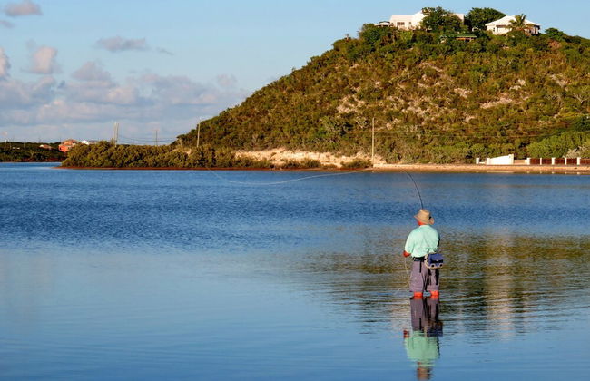 Harbour Club Villas & Marina - Photo 26