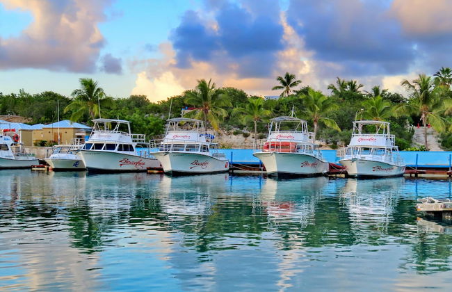 Harbour Club Villas & Marina - Photo 37