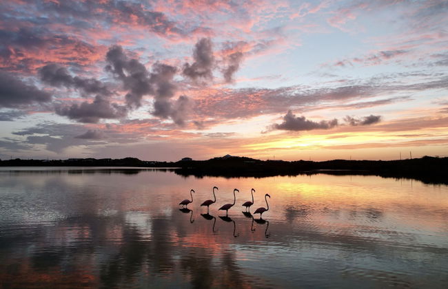 Harbour Club Villas & Marina - Photo 71