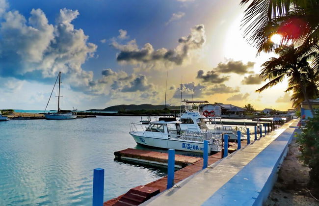 Harbour Club Villas & Marina - Photo 40