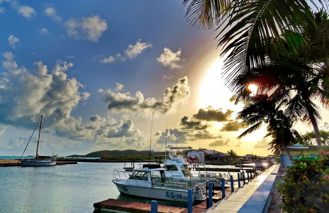 Harbour Club Villas & Marina - Photo 60