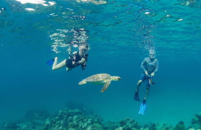 Harbour Club Villas & Marina - Photo 65