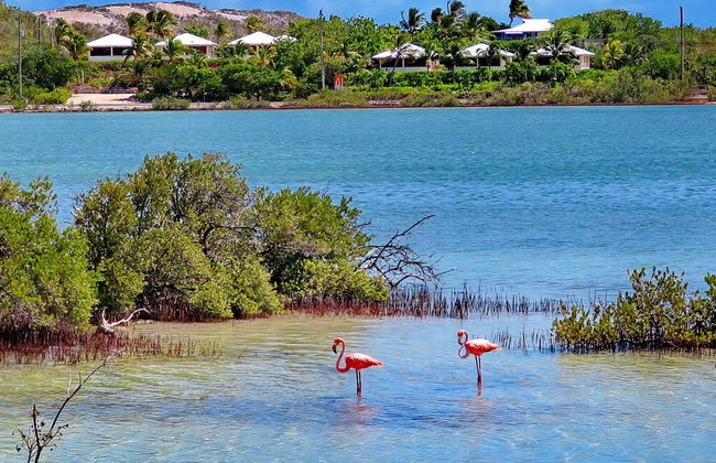 Harbour Club Villas & Marina - Photo 52