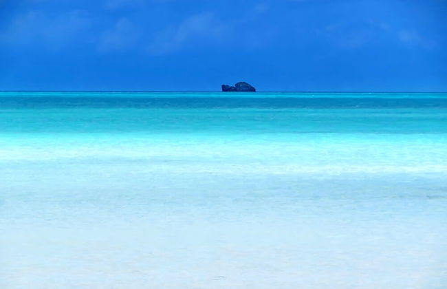 Harbour Club Villas & Marina - Photo 56