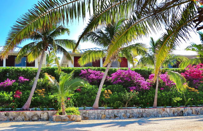 Harbour Club Villas & Marina - Photo 29