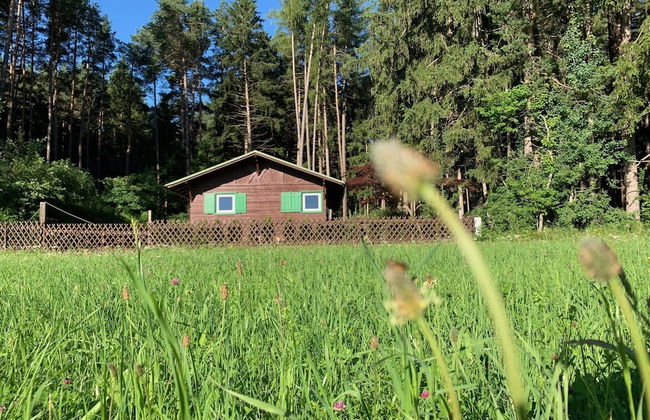 Waldchalet am Eichhof - Foto 23