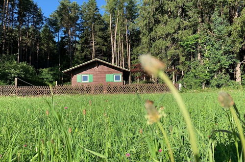 Photo 23 - Waldchalet am Eichhof